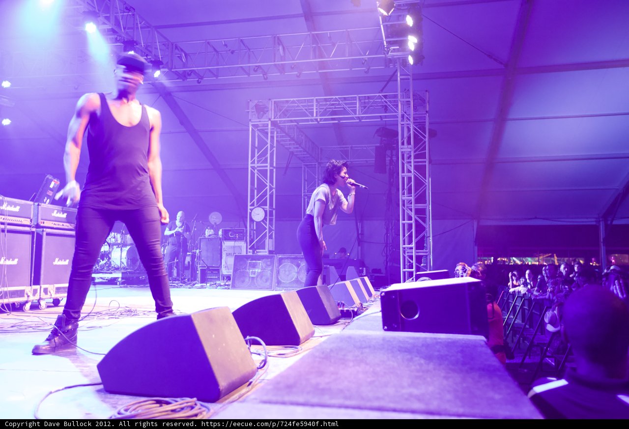 Two Men Performing at Coachella Concert