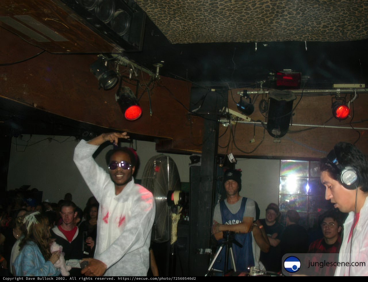 Partygoers rocking out