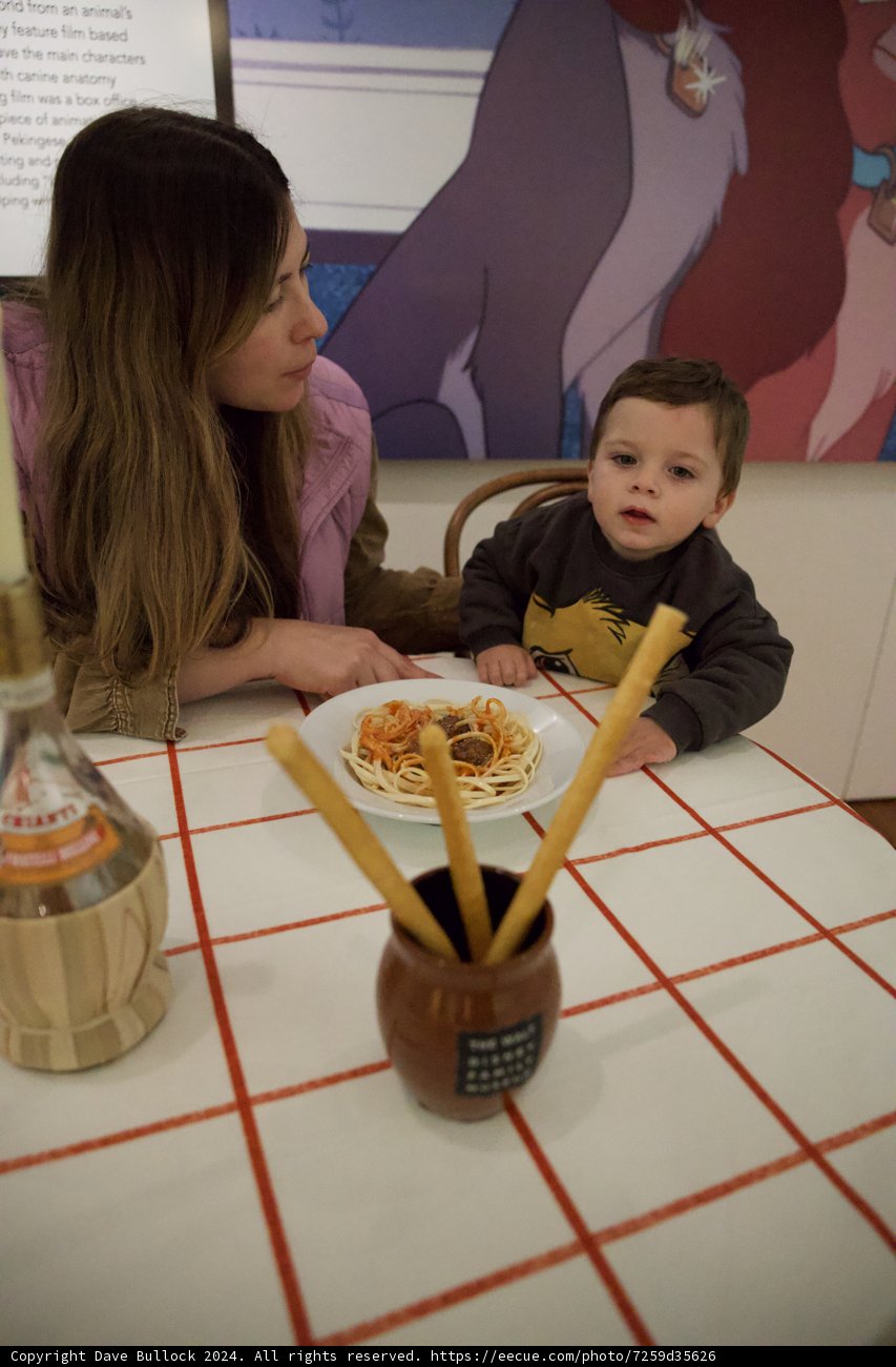 Cherished Family Lunch at the Walt Disney Family Museum