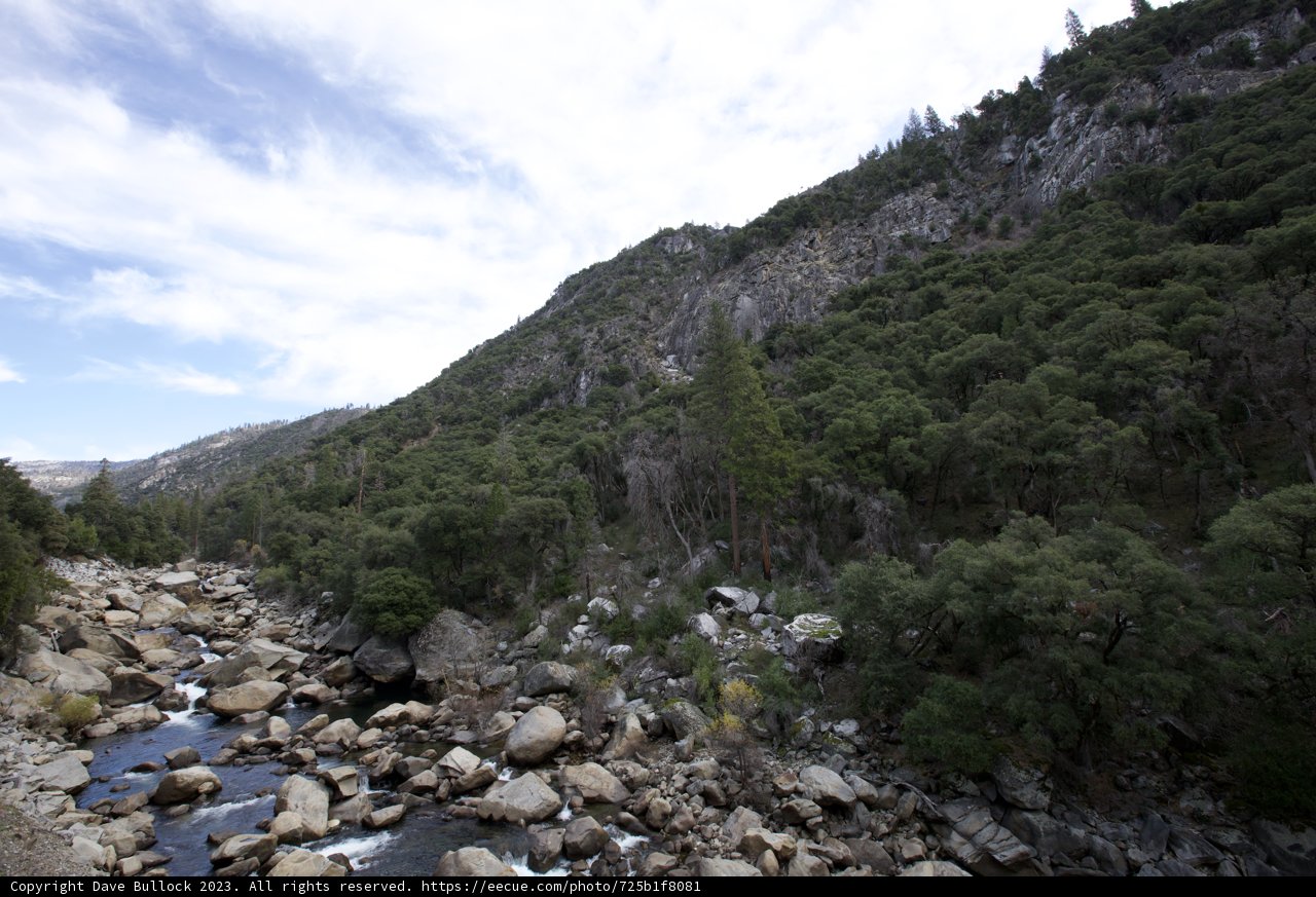 Pristine Wilderness of Yosemite