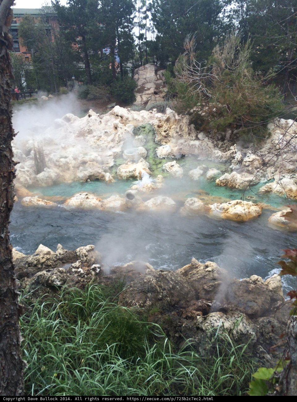 Mystical River in the Wilderness