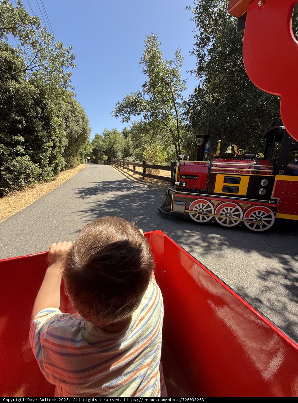 A Joyride Through the Park