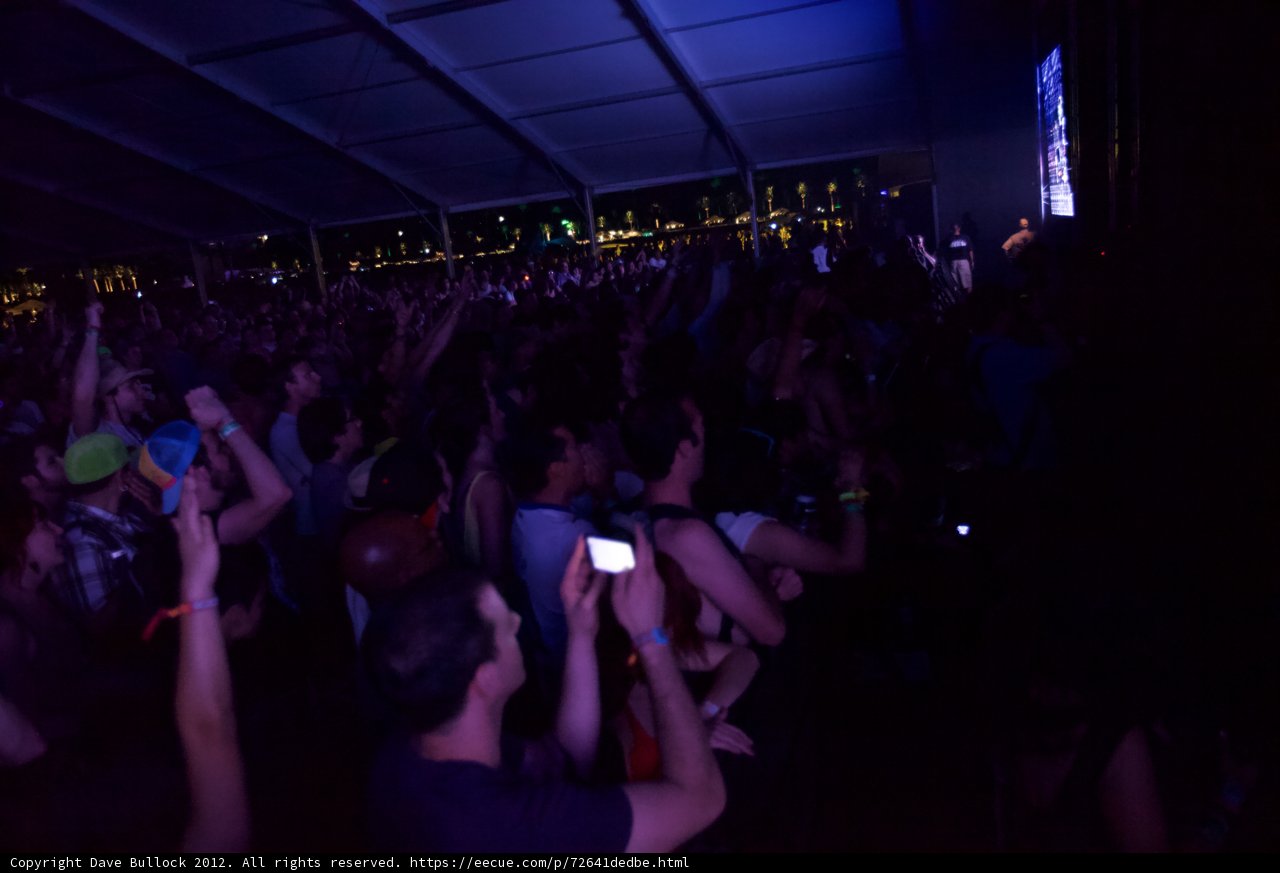 Electric Nightlife at Coachella 2012