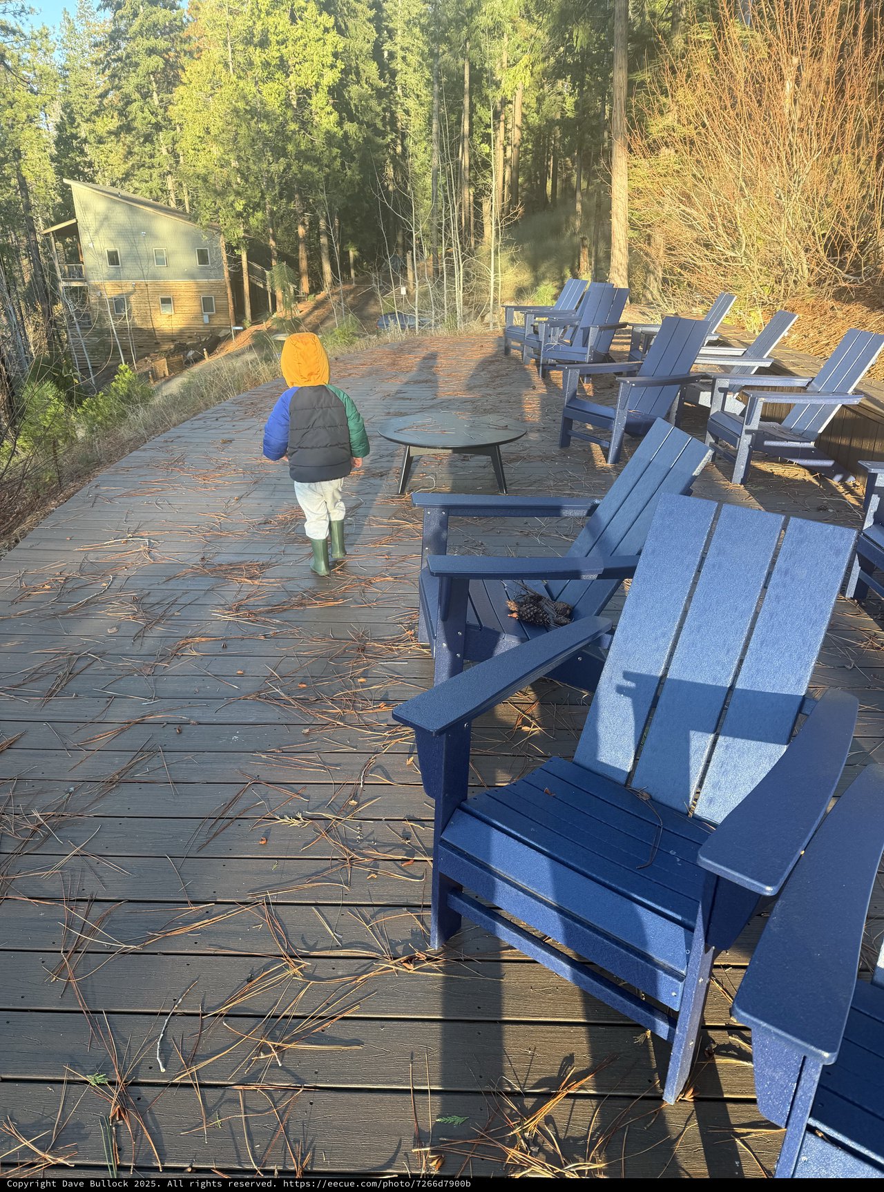 Young Explorer on Sunlit Forest Deck in Winter