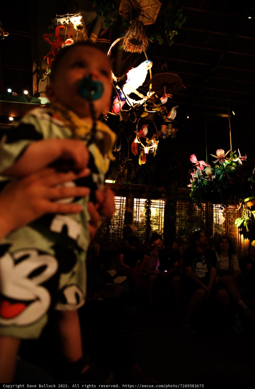 A Magical Moment at Disneyland