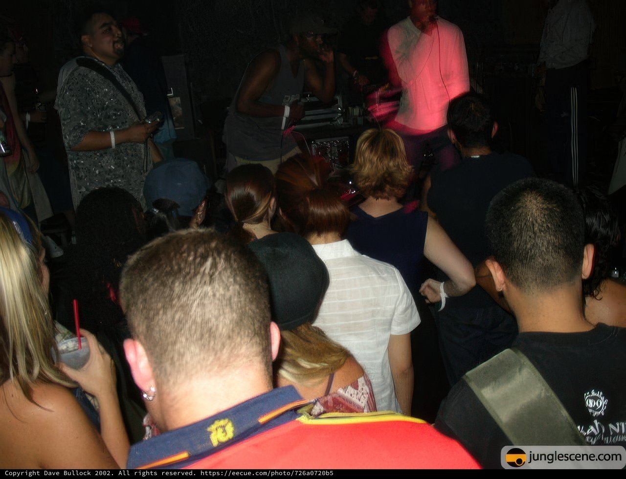 Nightclub Party with a DJ
