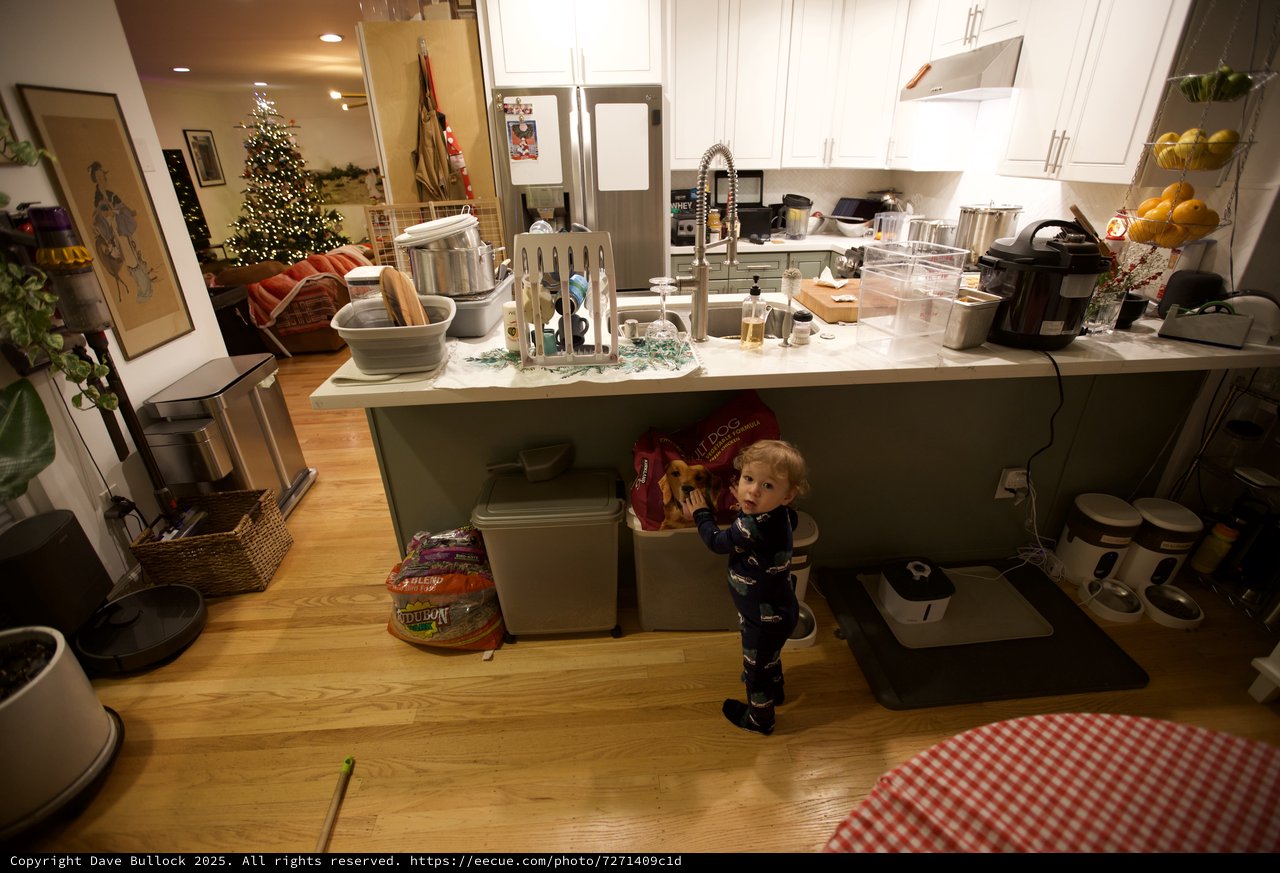 Toddler Exploring Kitchen on Christmas Morning