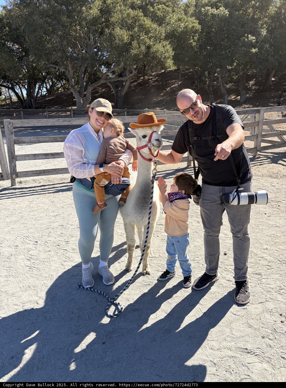 A Day at the Zoo