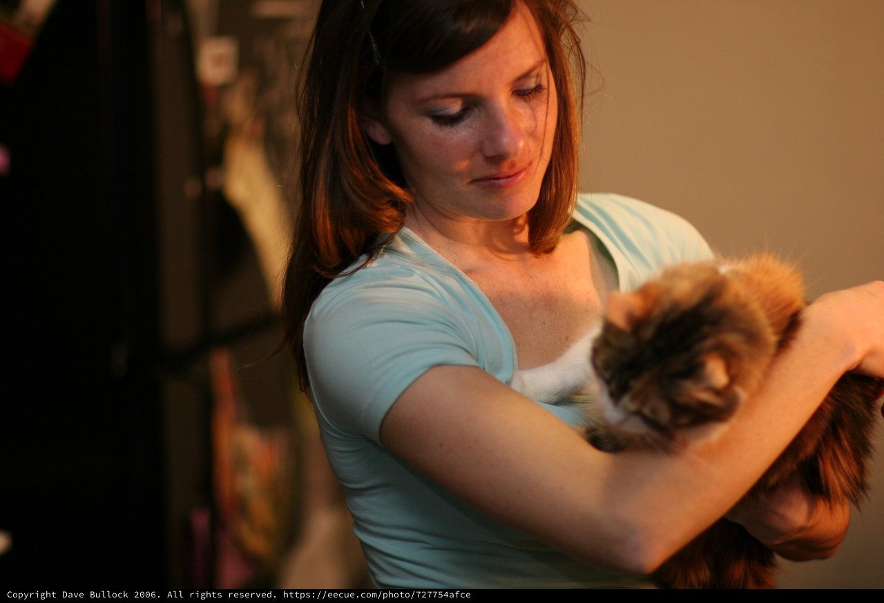 Woman Tenderly Cradling a Fluffy Tabby Cat