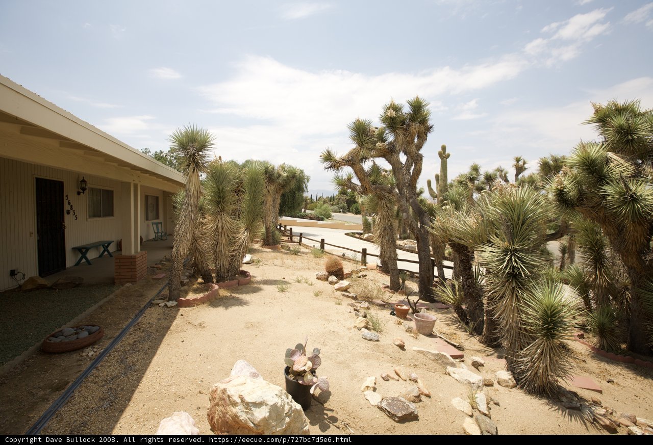 A Desert Oasis