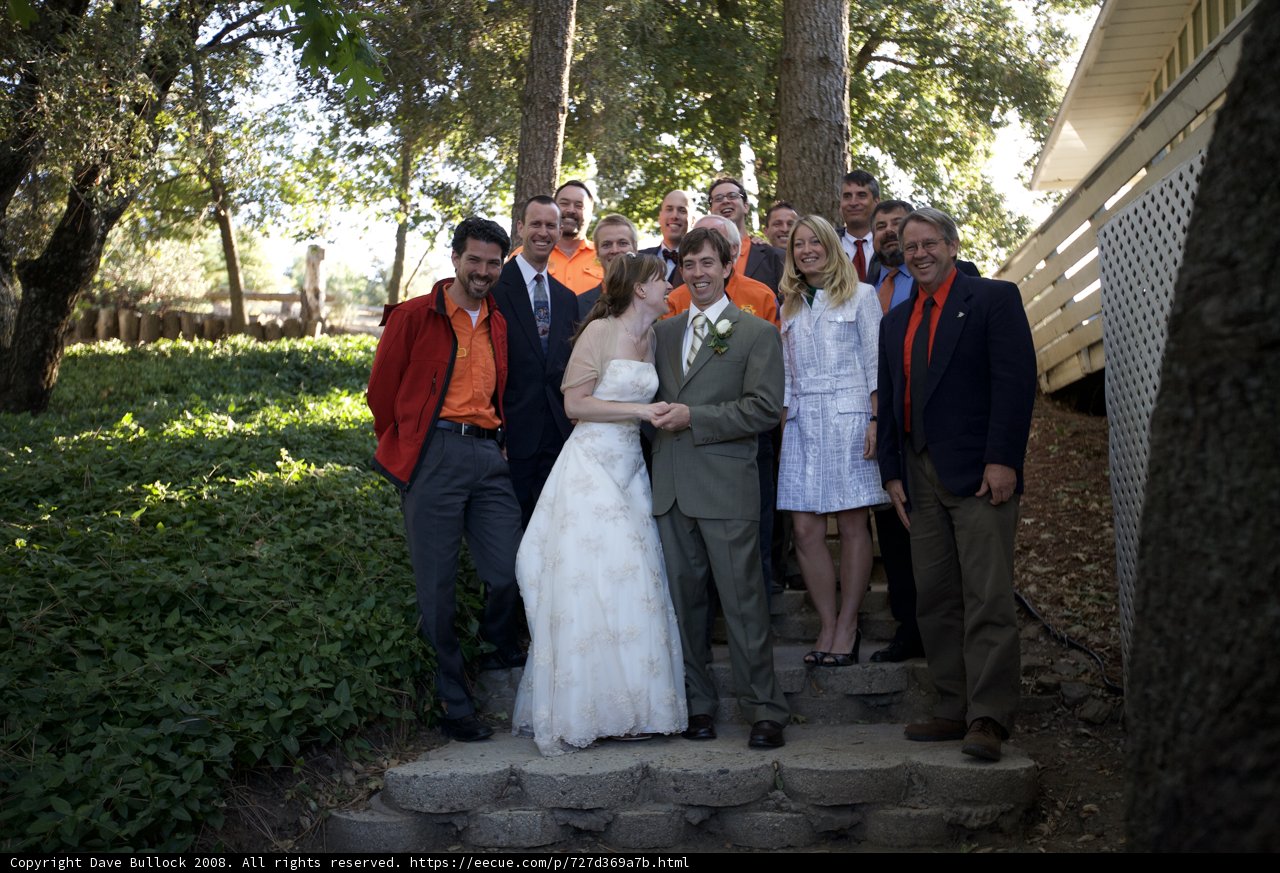 The Truitt Wedding Party on the Grand Staircase