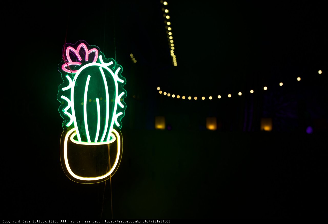 Neon Nights at the Garden