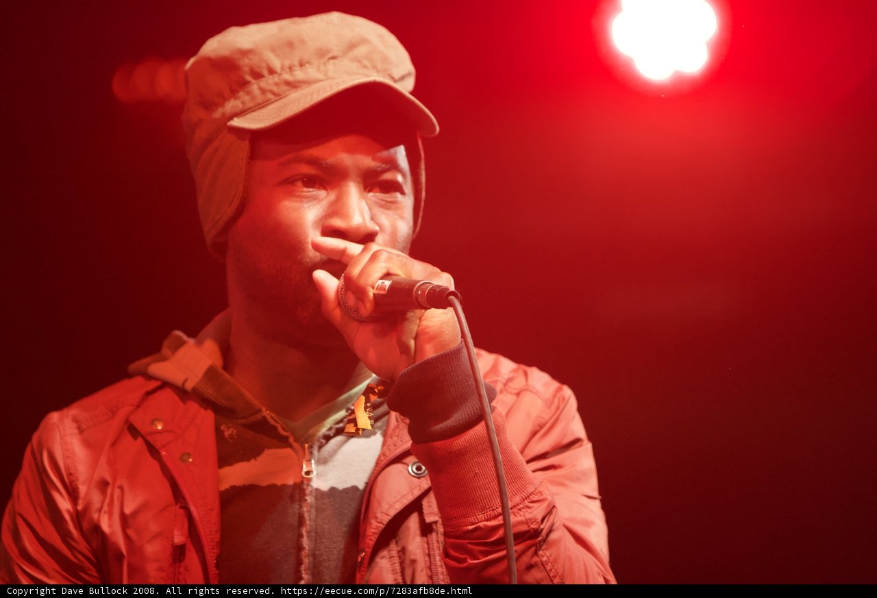 Spotlight on the Songbird