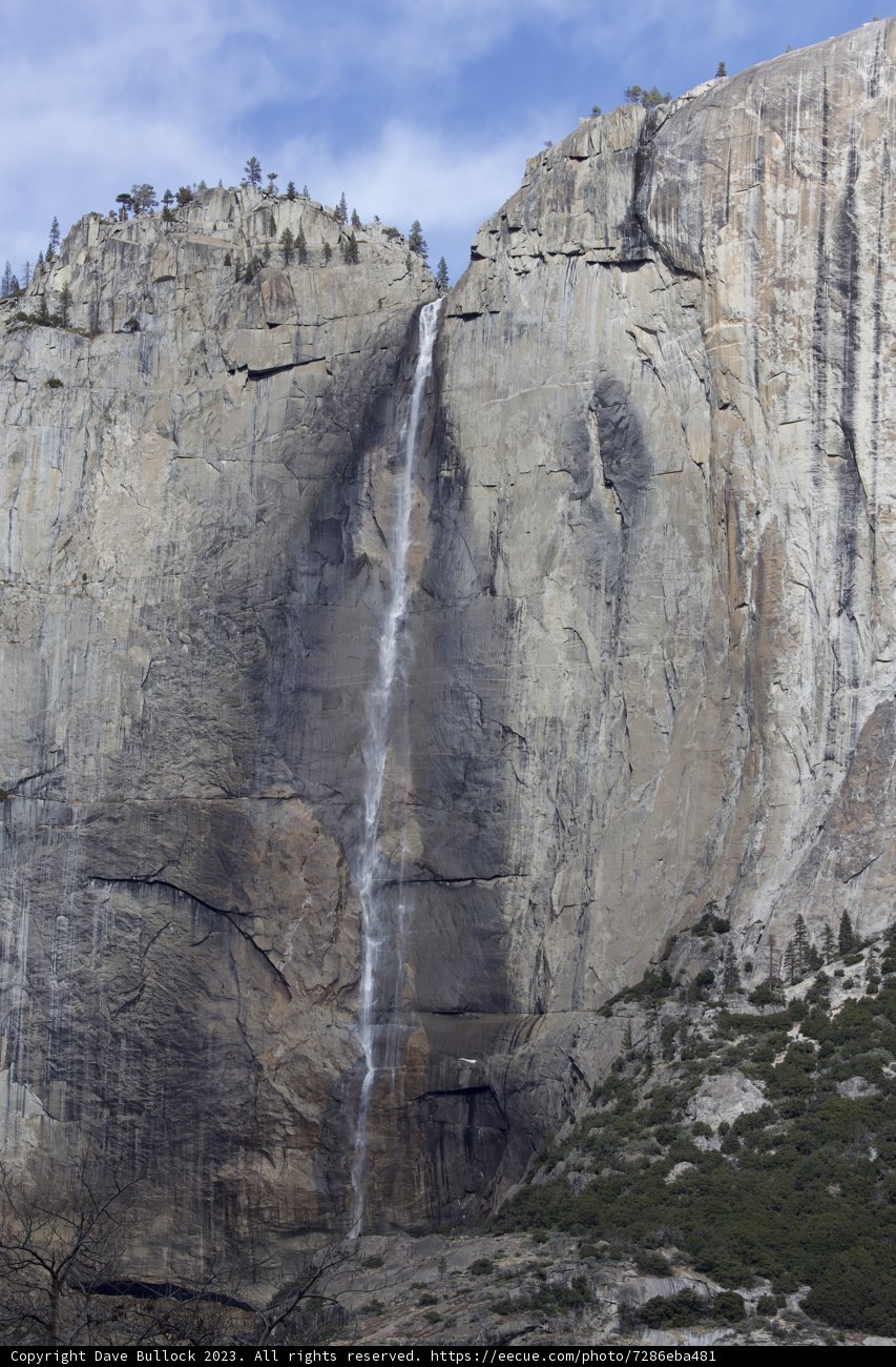 Majestic Yosemite Cliffside Encounter