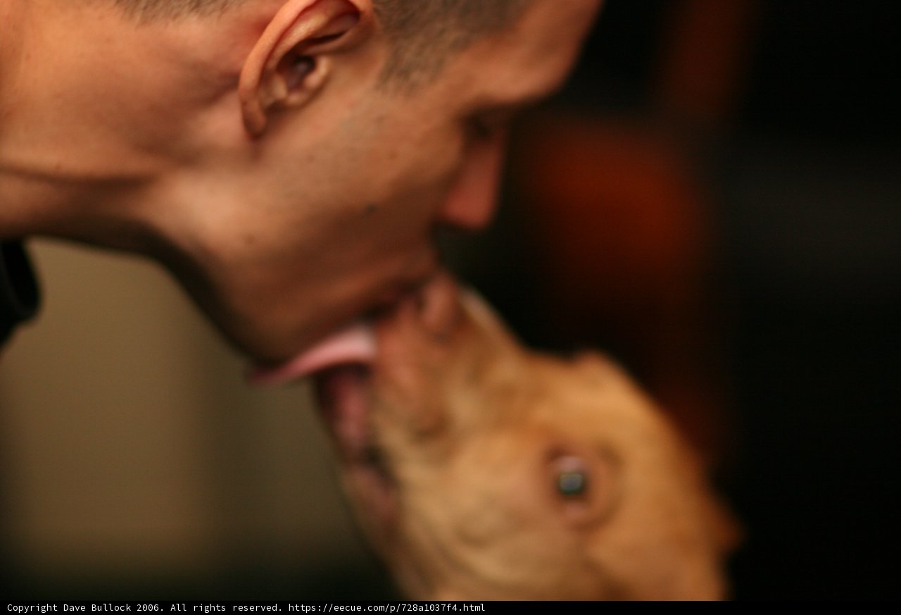 Man shares a smooch with his furry friend