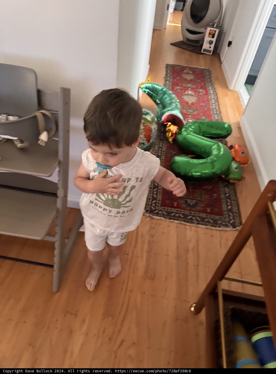 Little Adventurer at Home