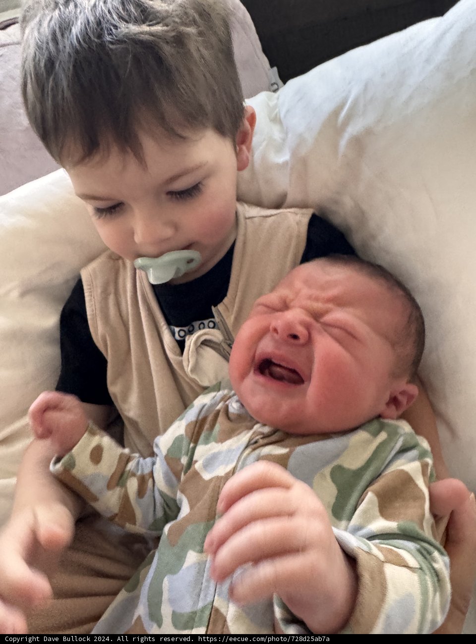 A Brother's Embrace
