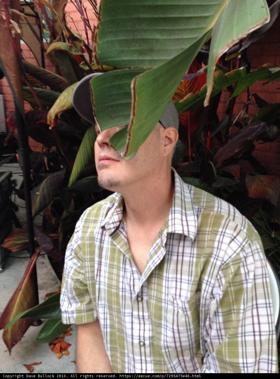 Man in a Hat surrounded by Foliage