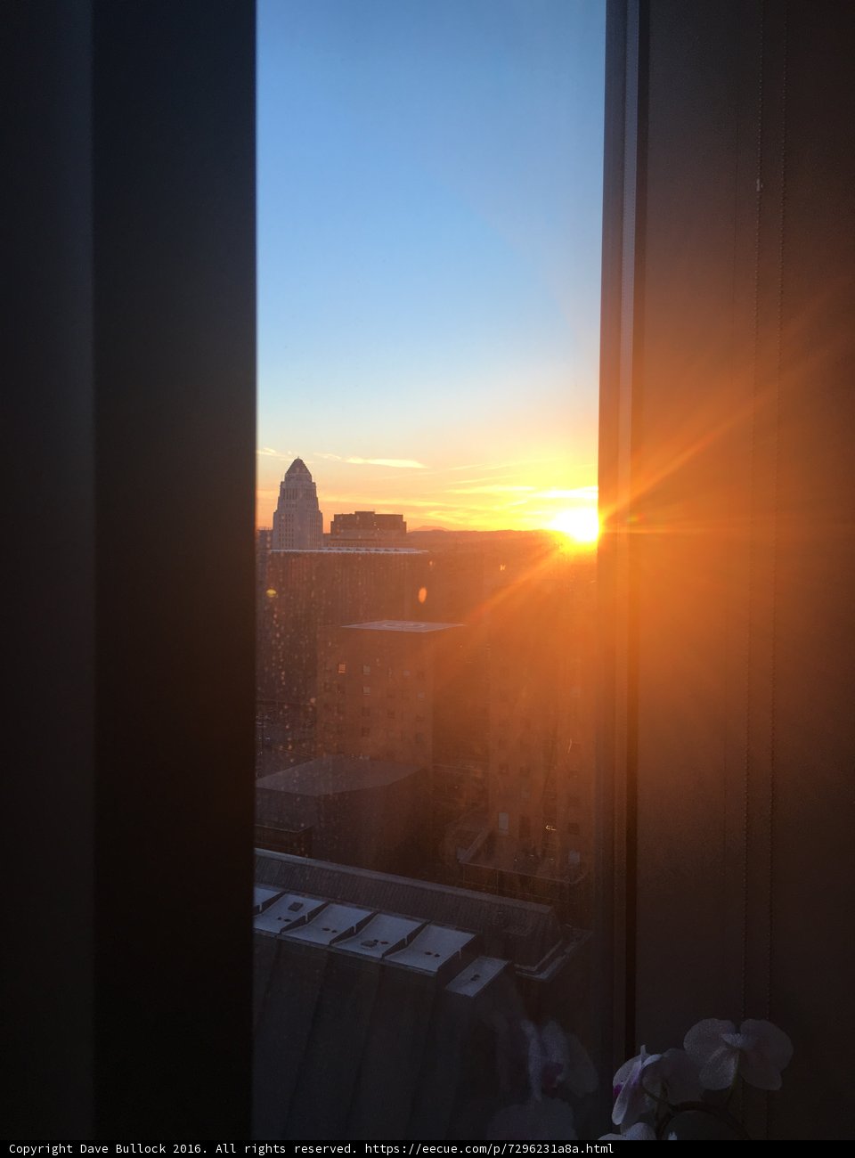 Sunset Flare over Urban Skyline