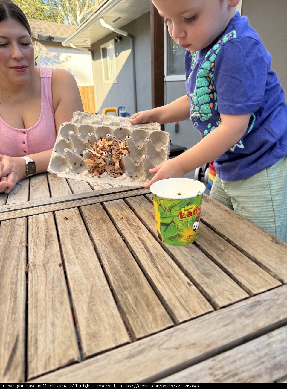Backyard Summer Snacks