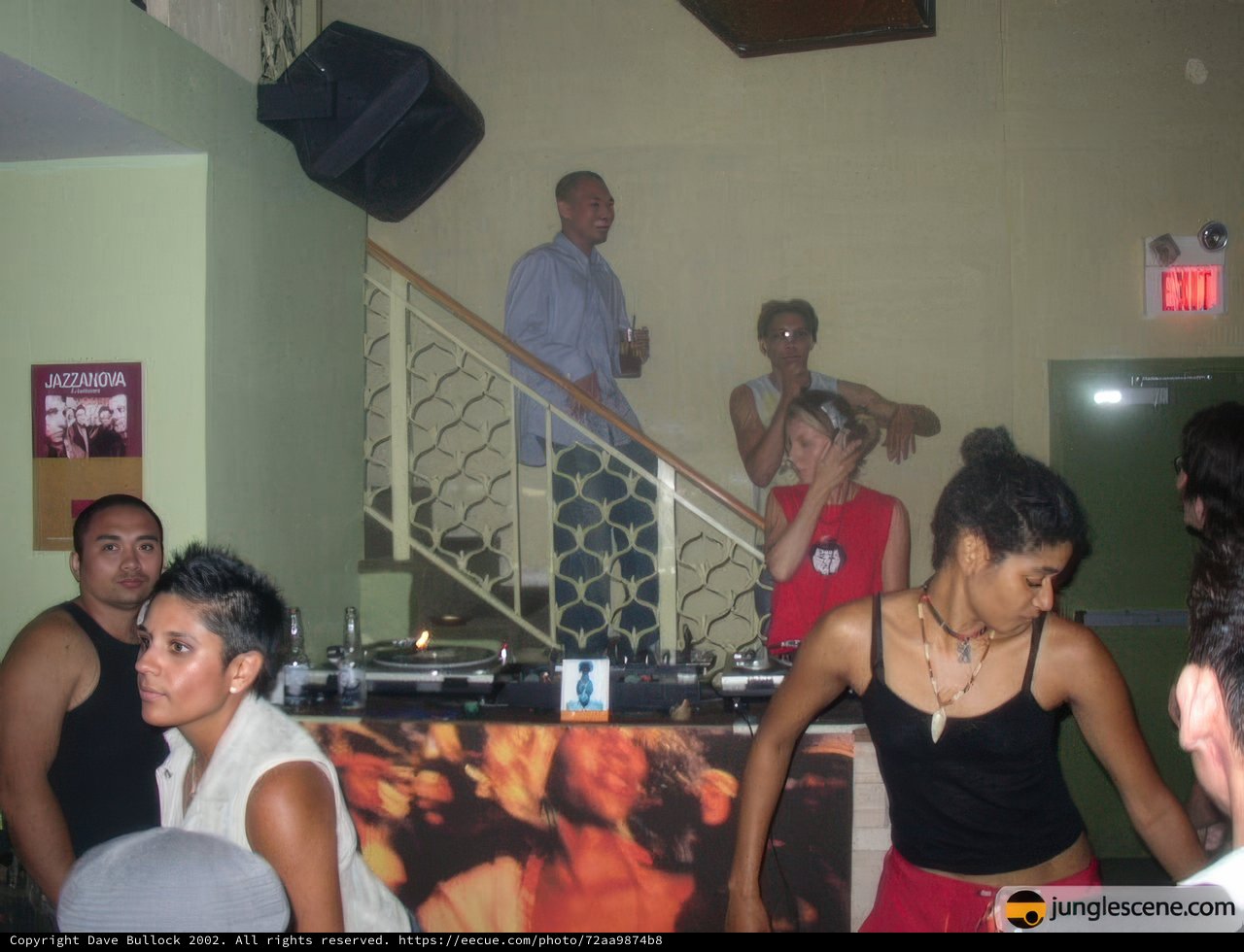 DJ Entertains Crowd at Night Club