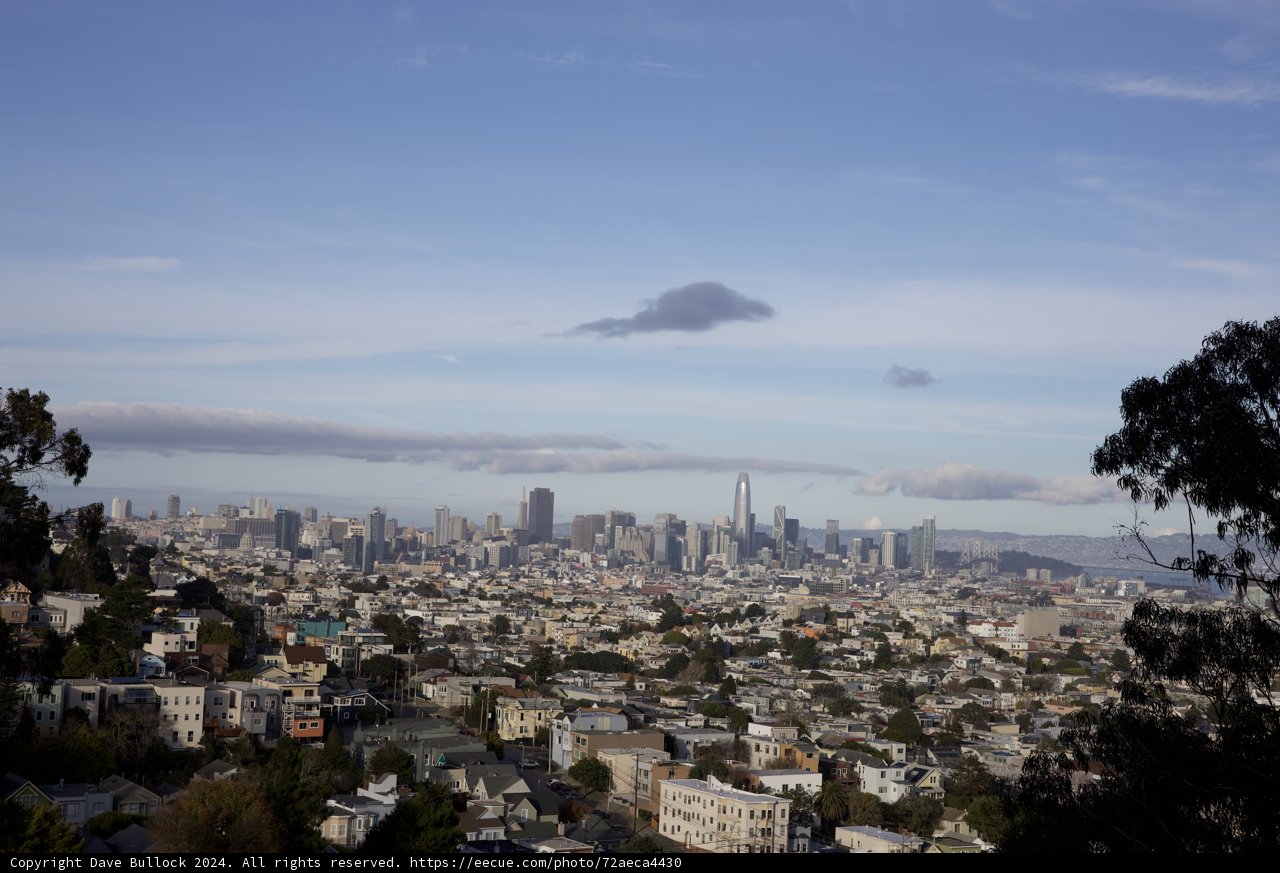 Cityscape Revelation from Hilltop Tranquility
