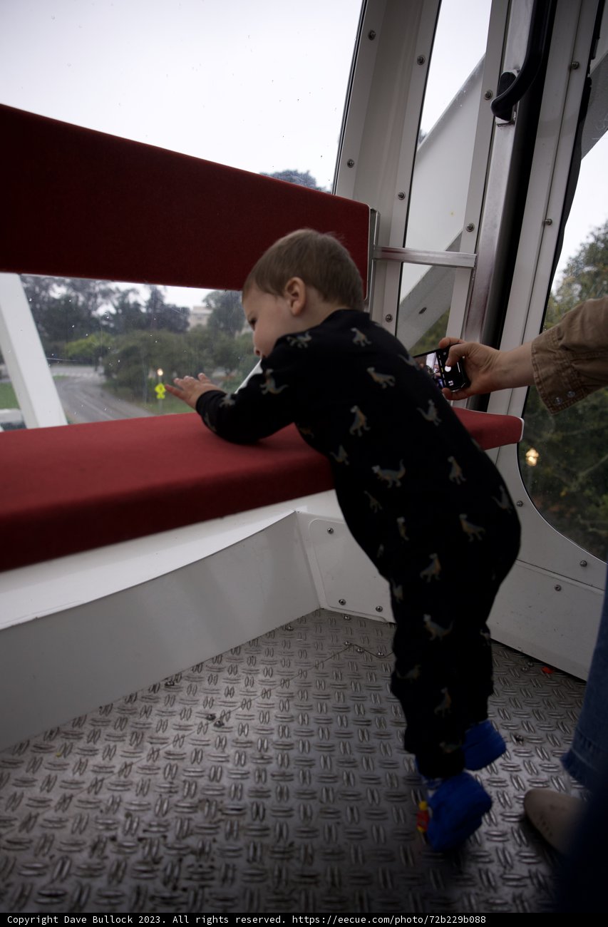 Wesley's Grand Adventure at Golden Gate Park, 2023