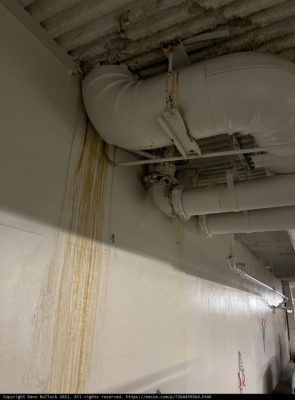 Dripping Pipe Causing Home and Mold Damage