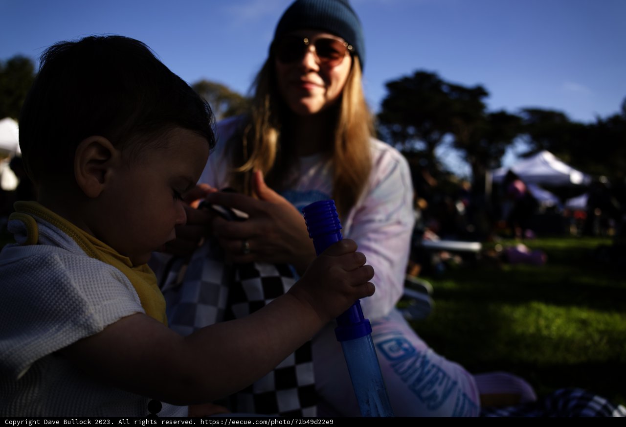 Picnic Days: A Leisurely Sunset