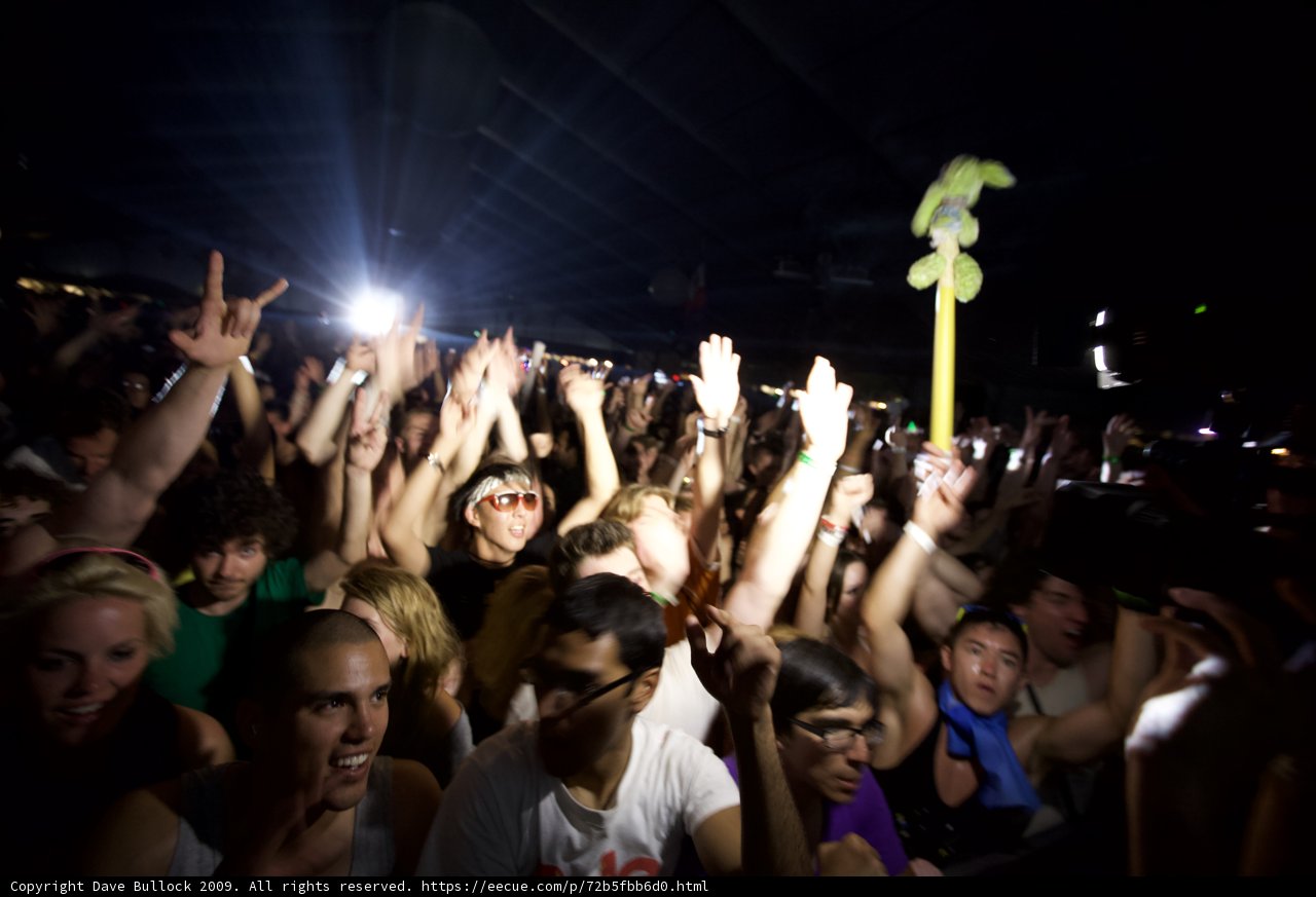 Coachella 2009 Crowd