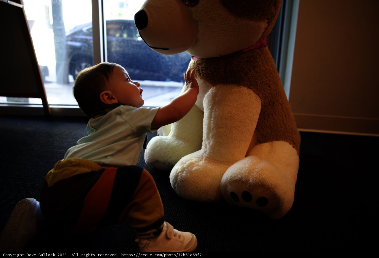 Wesley's Furry Friend