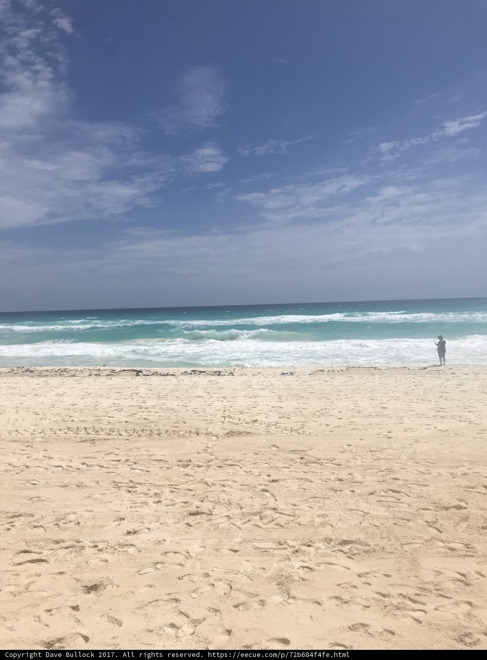 Serene Stroll by the Sea