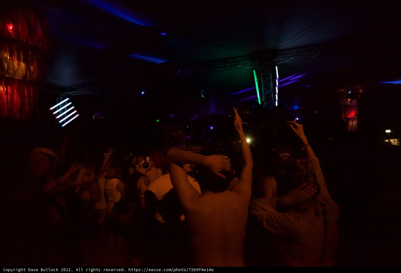 Grooving to the Nightlife