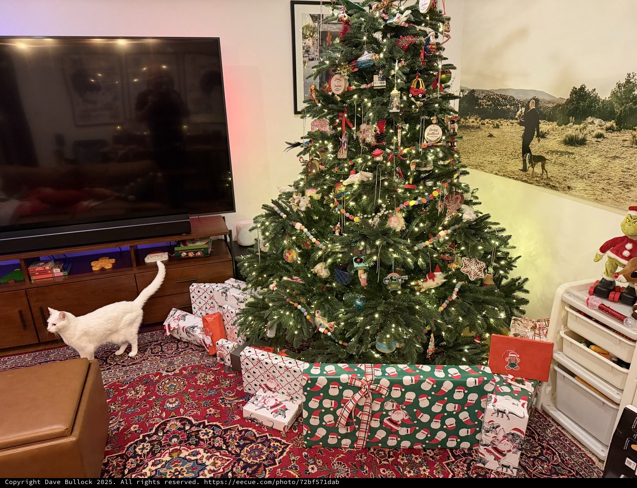 White Cat Exploring Christmas Morning Living Room