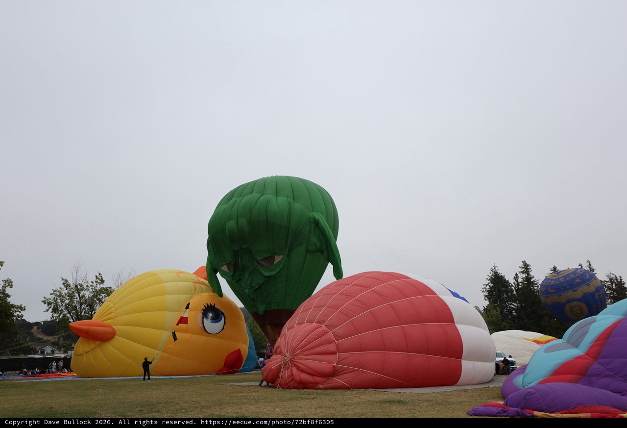 Colorful Hot Air Balloons Inflate at Sonoma Classic