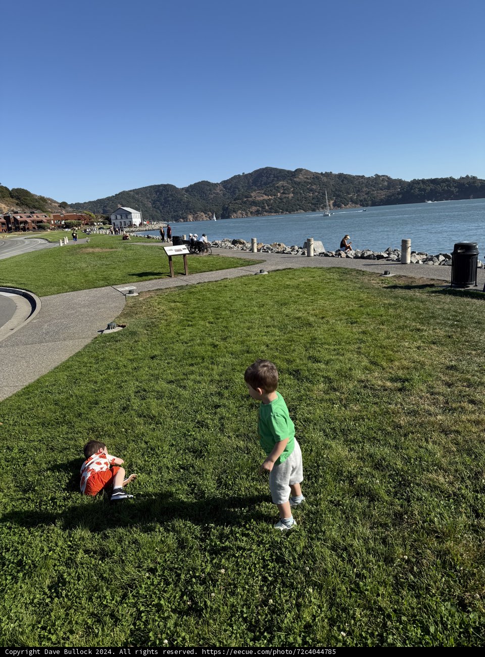 Playful Moments by the Shore