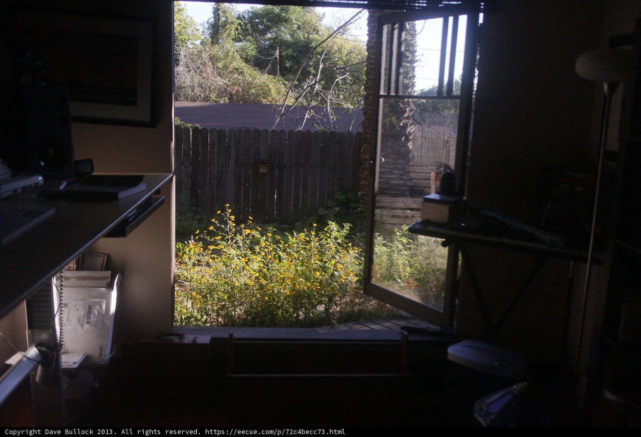 A Garden View from the Interior
