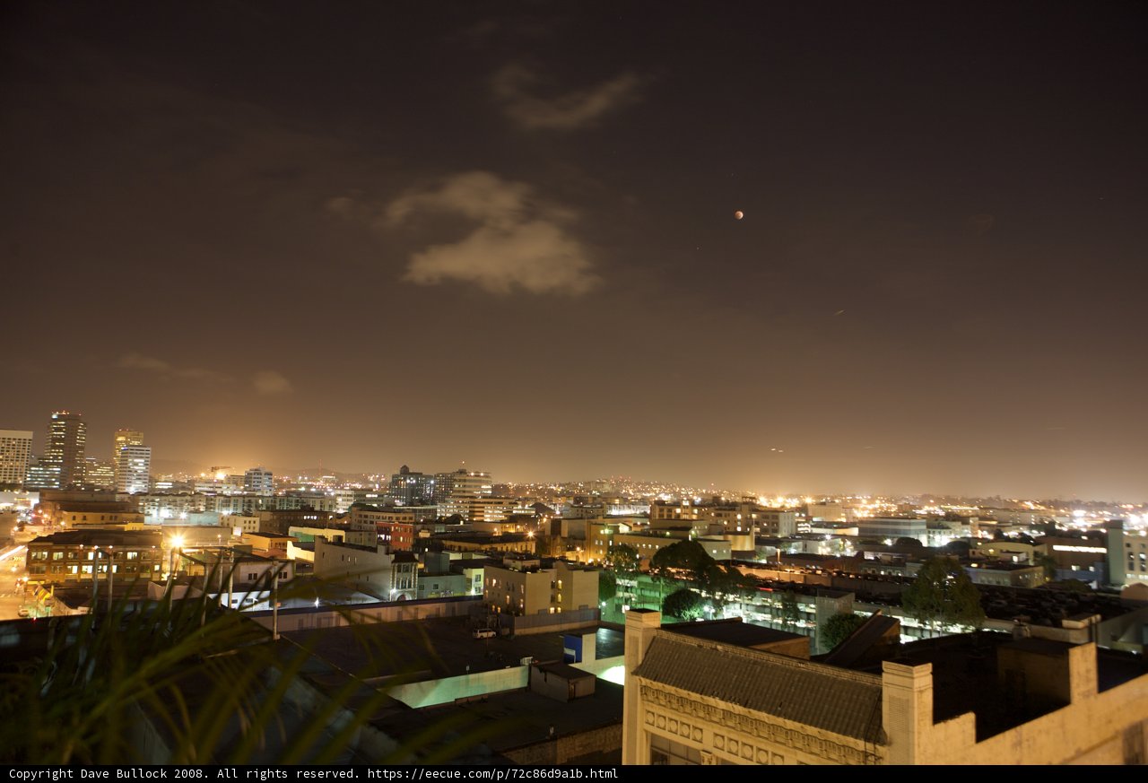 Metropolis Nights