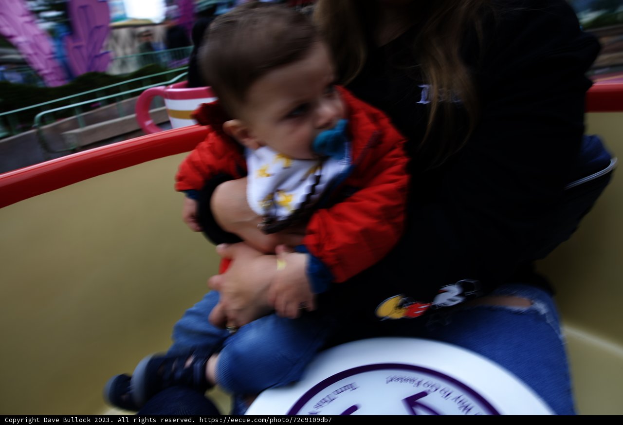 Magical Moments at Disneyland