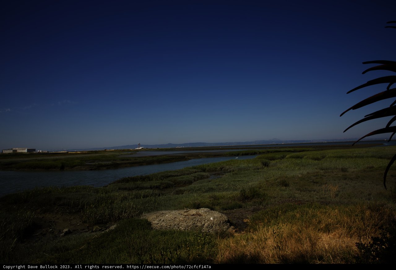 Blue Tranquility: Summer Skies Over Bayfront Park