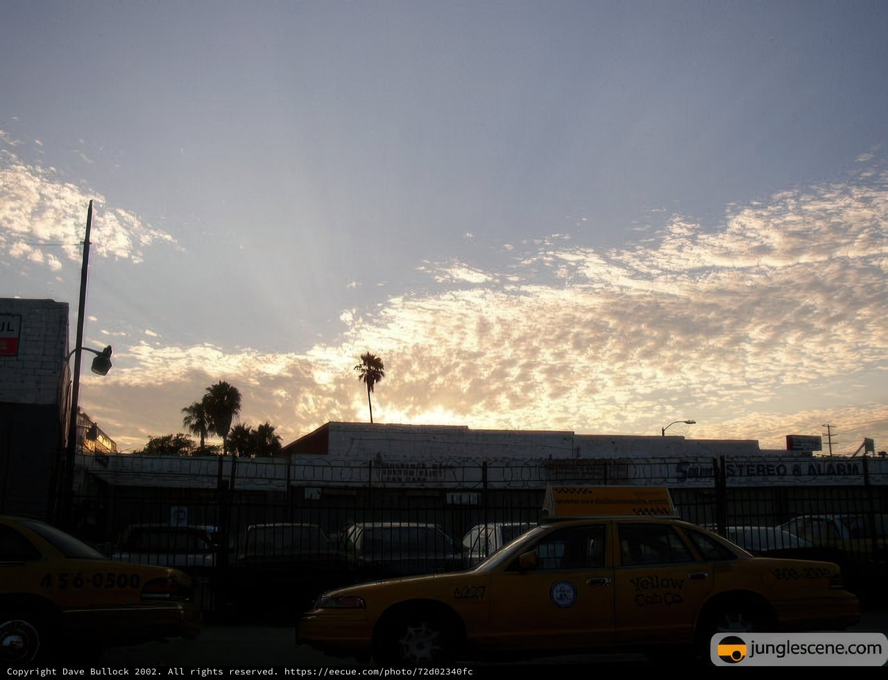 Sunset Taxi