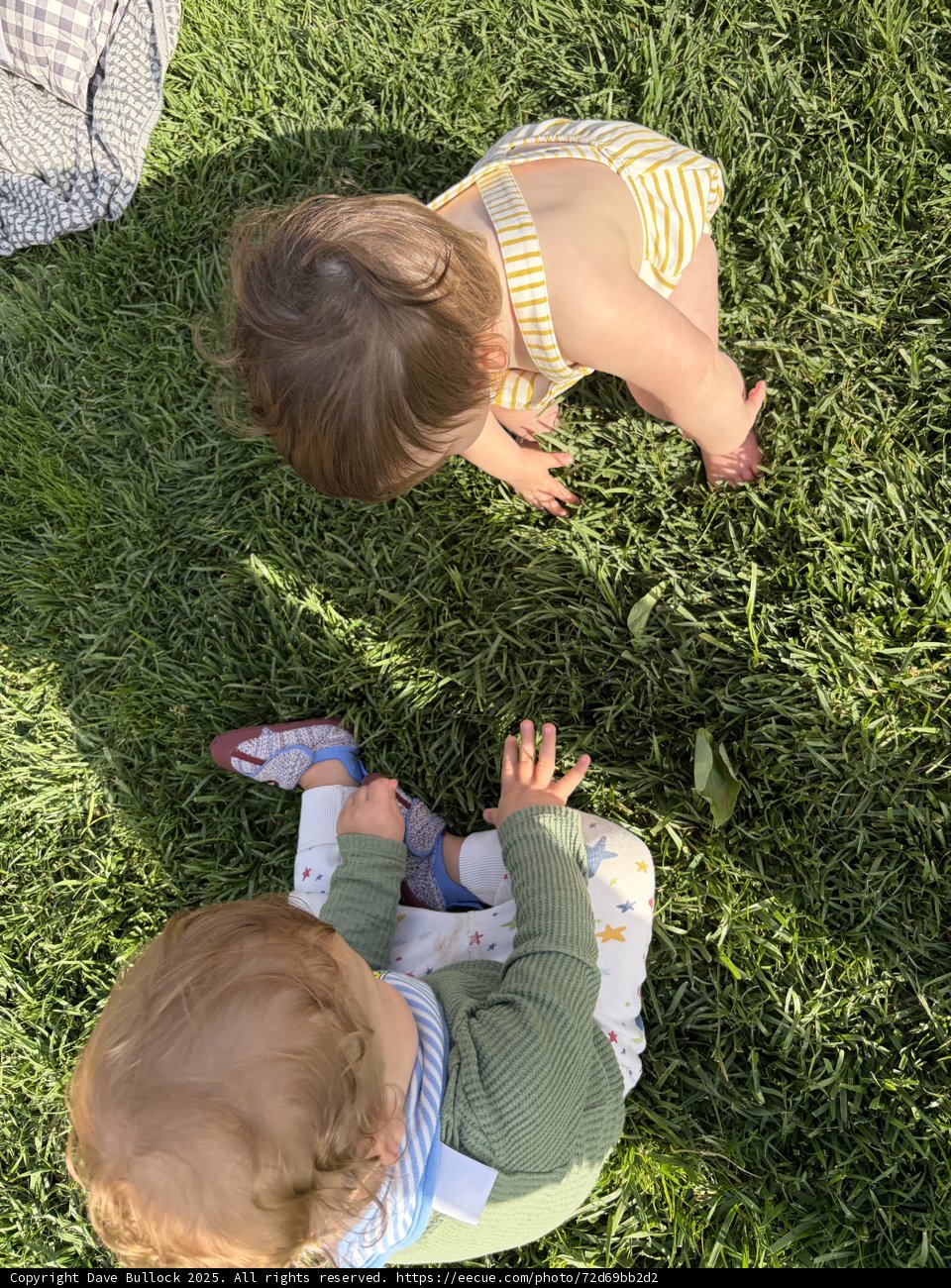 Little Discoveries in the Grass