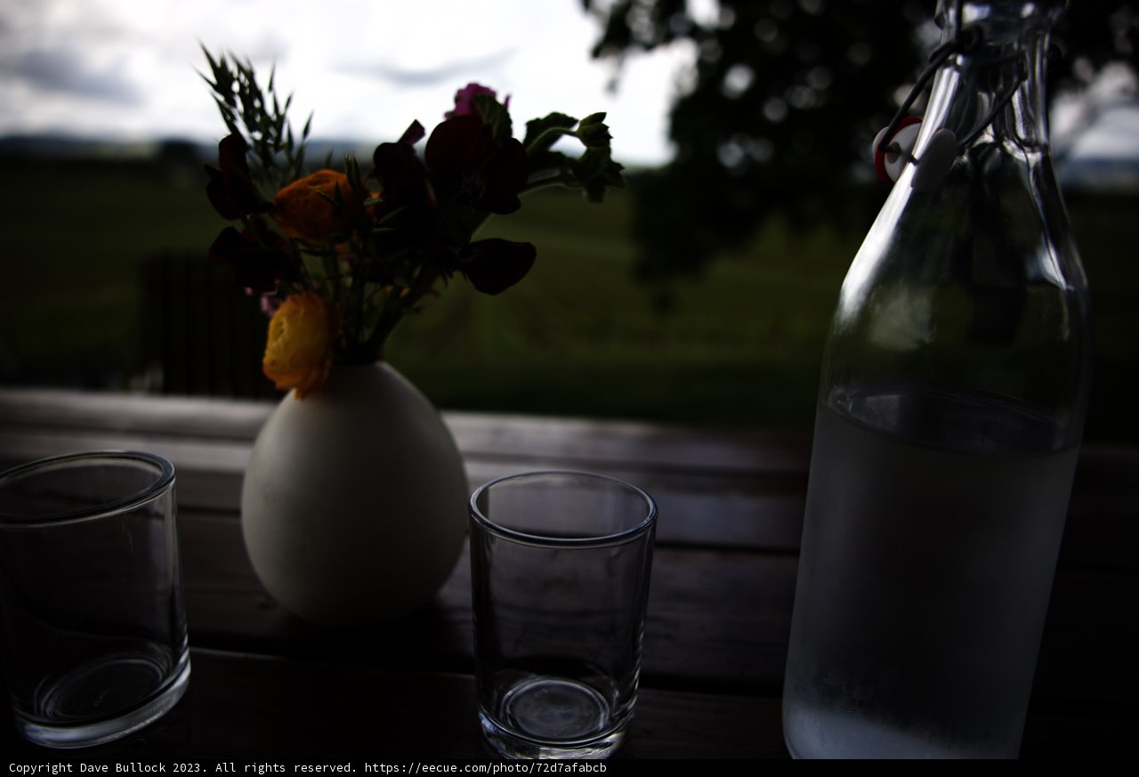 Blooms and Refreshment in Sonoma