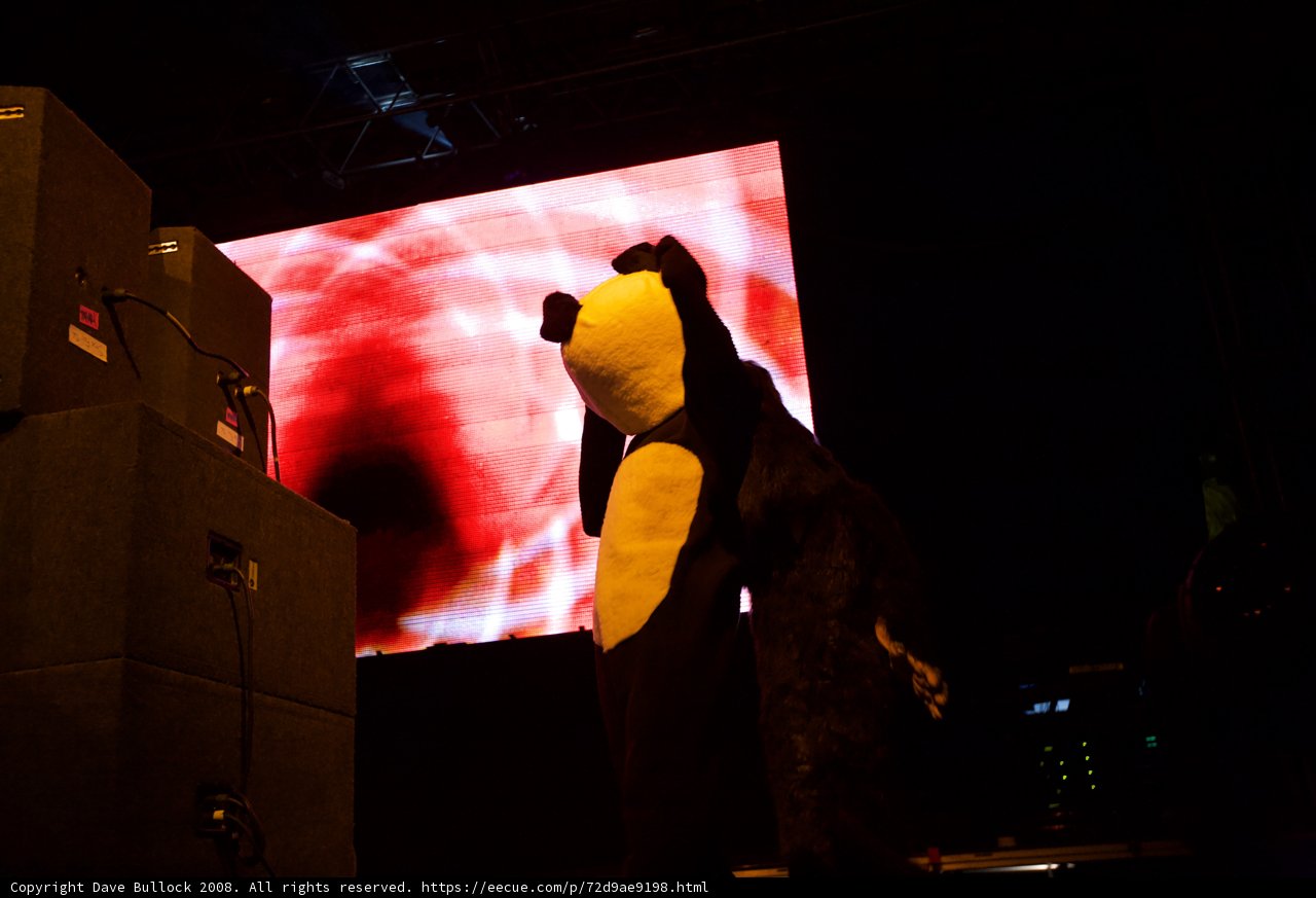 Bear-ly Visible on the Big Screen