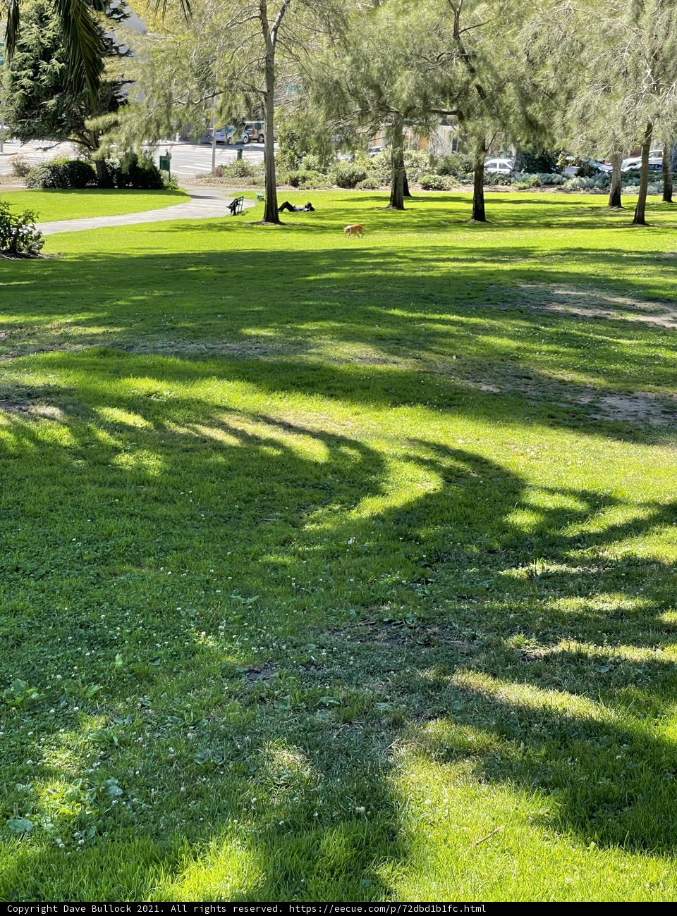 A Serene Park Bench in Jefferson Square