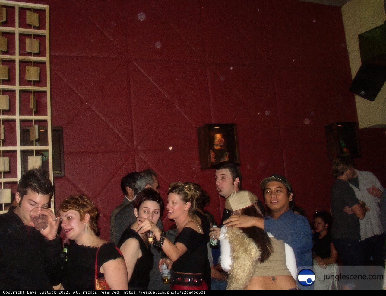 Night Club Gathering