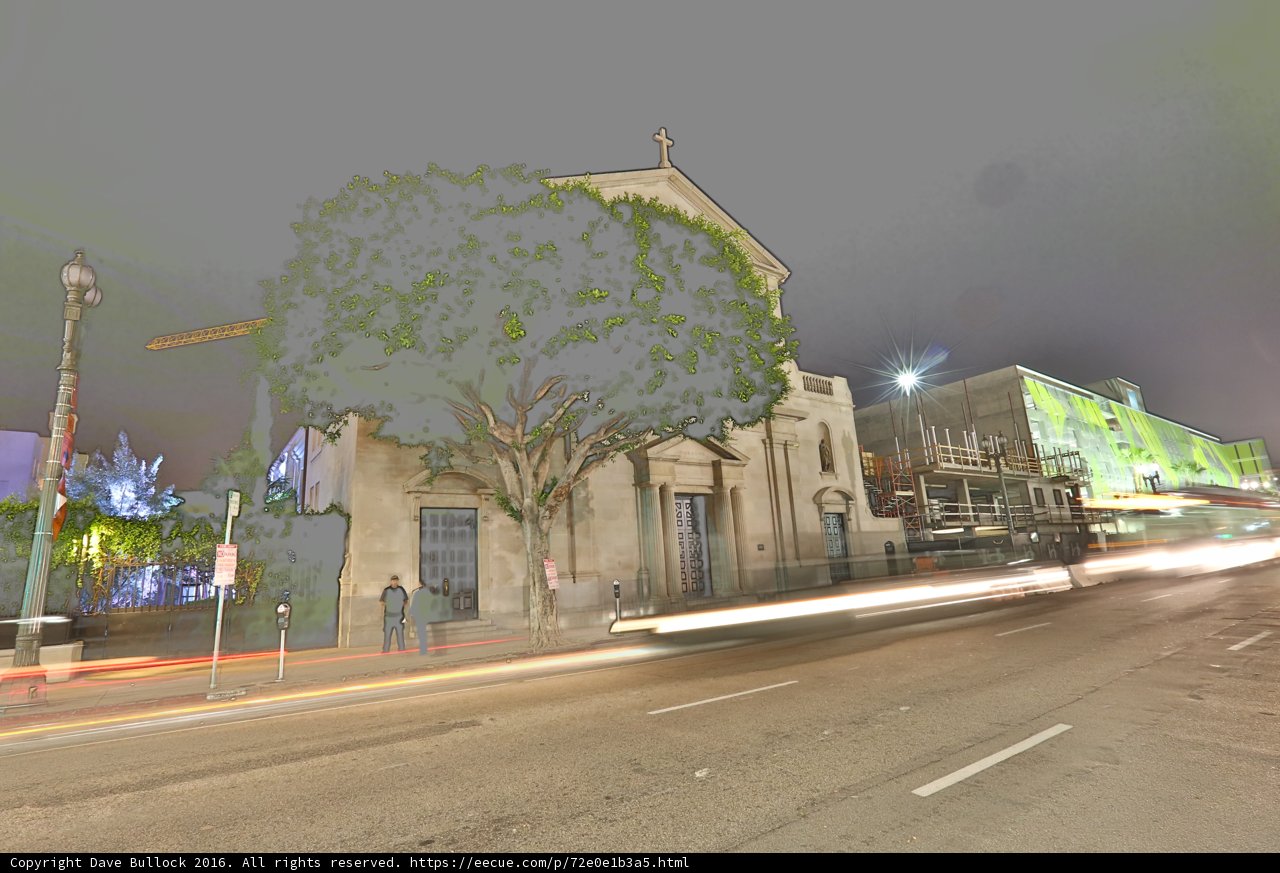 The Majestic Tree of the Urban Metropolis