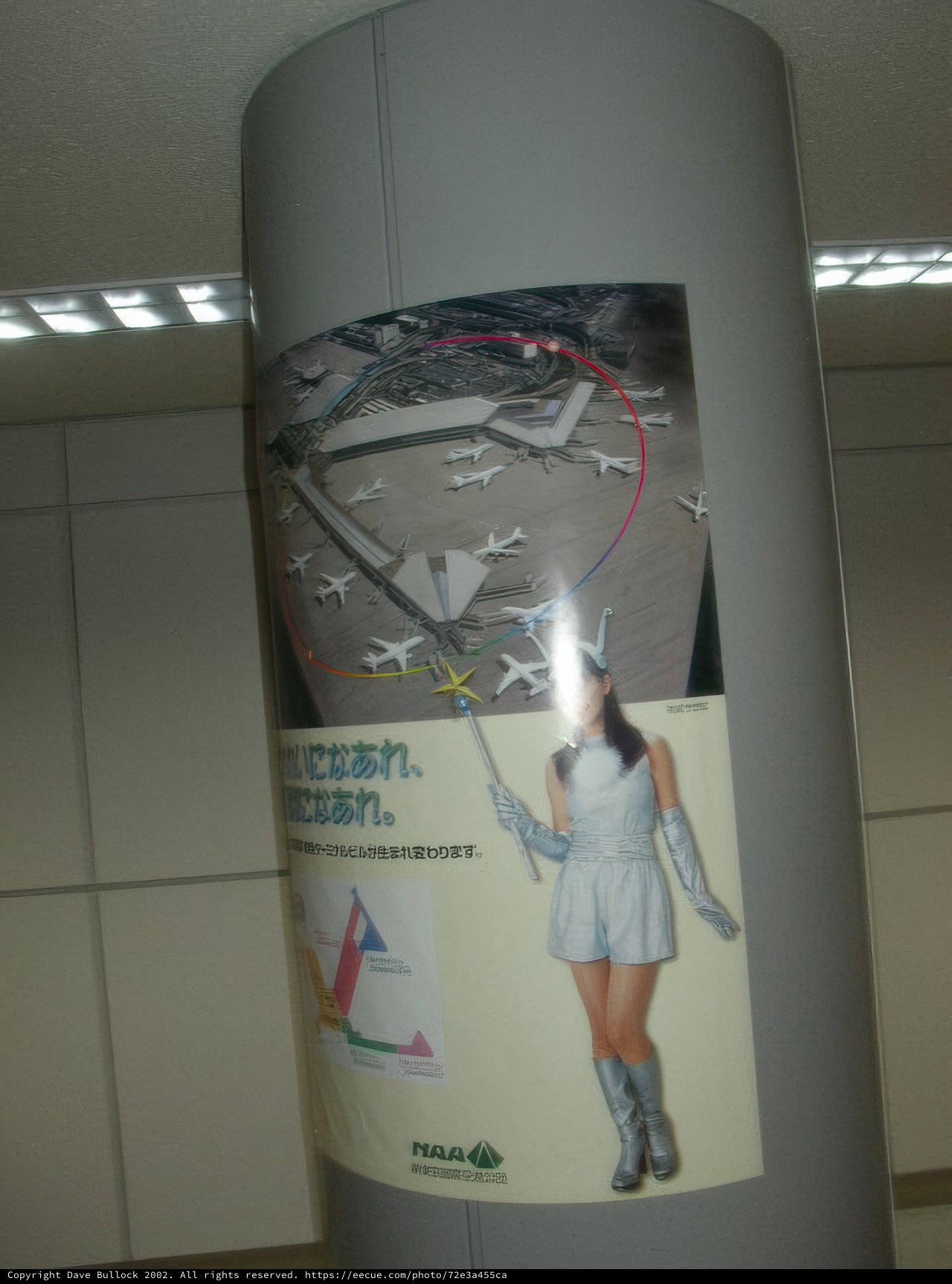 Silver Dress Poster