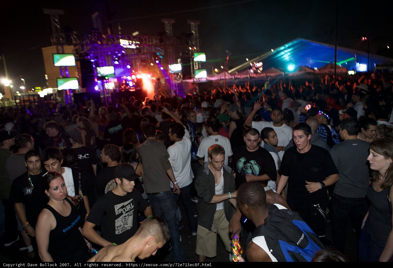 Nocturnal Beats: A Night of Music and Fun