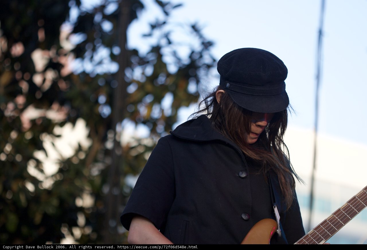 Acoustic Serenade in the Park